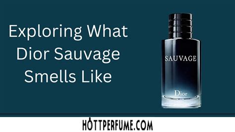 what smells similar to dior sauvage